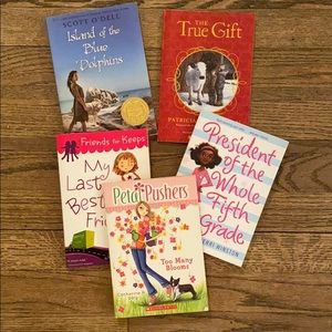 Chapter books for girls Bundle